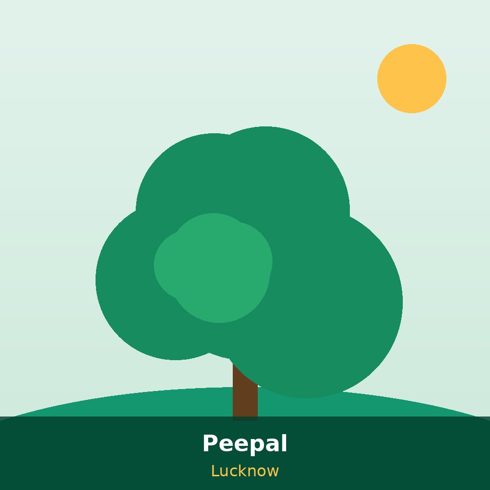 Ecosmiles tree planting