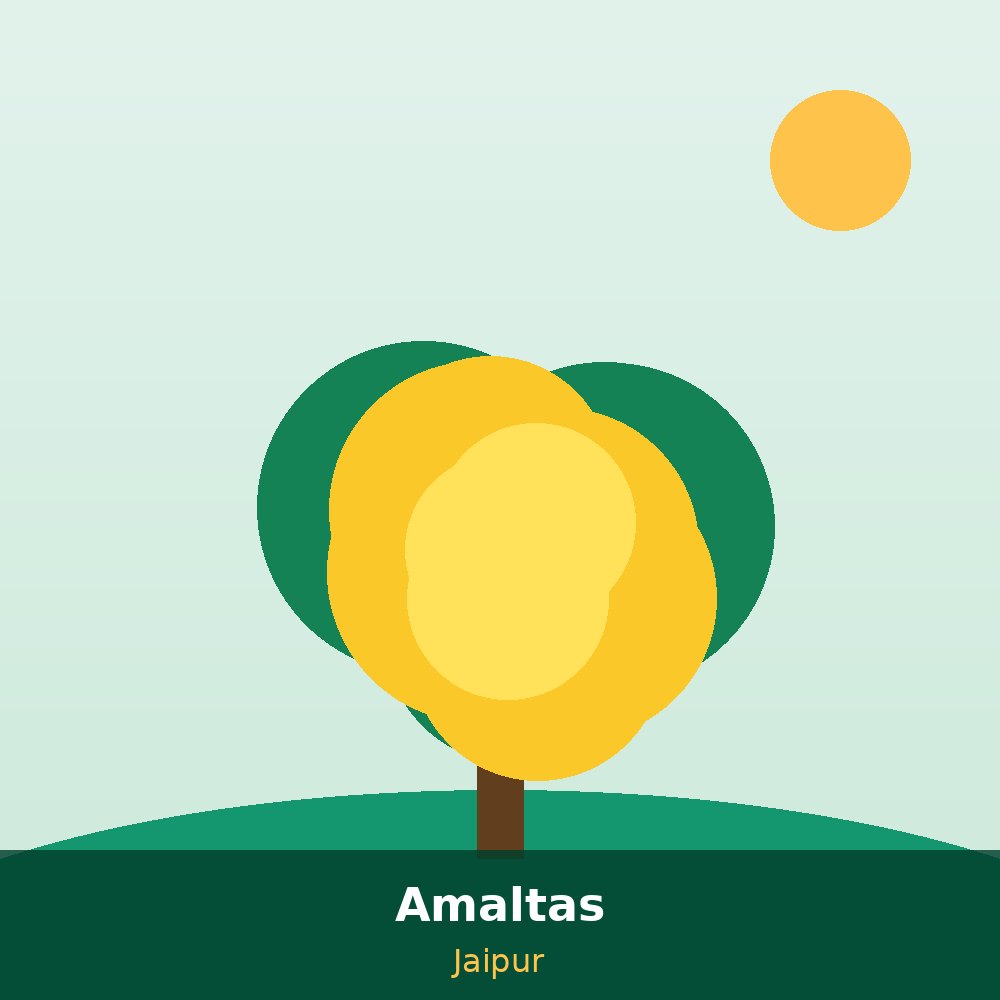 Ecosmiles tree planting